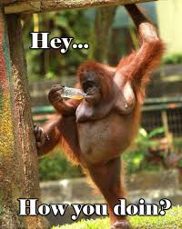 How You Doin Meme