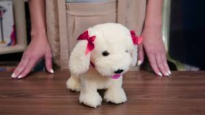 Zoolovefuck - Young Girl Fucked by a Dog Hard