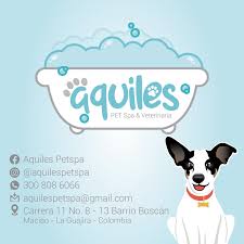 Aquilespetspa&veterinaria