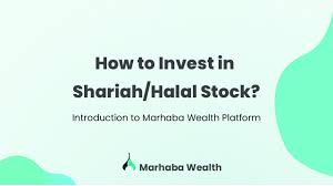 Autolyzed yeast extracts are available as a powder derived from baker's yeast or brewer's yeast. How To Invest In Halal Shairah Stocks On Marhaba Wealth Youtube