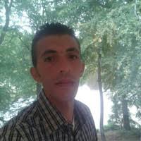 Islam Hafez Email & Phone Number