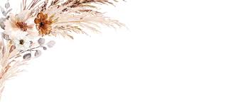 Logan Long and Cameron Chestnut's Wedding Website