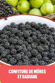 6 Recettes De Confitures Avec Les Fruits De La Haie En 2020 Recettes De Cuisine Recette Confiture Confiture