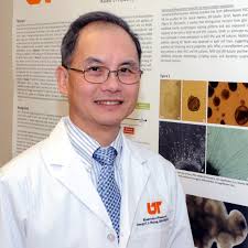 Professor George Huang, DDS, of UTHSC Receives 2015 IADR Distinguished  Scientist Award in Pulp Biology