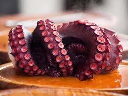 El pulpo no se meterá al agua hasta que esta esté hirbiendo; Asustar Al Pulpo Por Que Y Como Debes Hacerlo