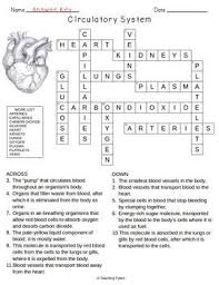 Circulatory System Science Crossword Puzzle Circulatory System Teaching Key Dates