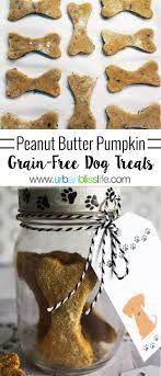 Grain Free Peanut Butter Pumpkin Dog Treats Recipe Homemade Dog Food Grain Free Dog Treats Recipes Dog Food Recipes