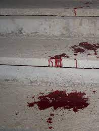 Feb 23, 2021 · most flooring falls into one of the following six types. I Want Blood Guts And Chocolate Cake