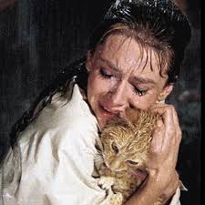 Ciara Carroll (@ciara.noa) • Instagram photos and videos