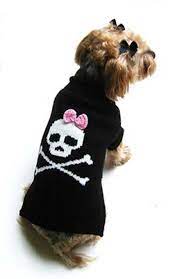 Black Jolly Roger Skull Girl Dog Sweater Dog Sweaters Dog Clothes Cute Dog Clothes