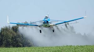 Glyphosate is a widely used herbicide that controls broadleaf weeds and grasses. Aspersion Con Glifosato No Ha Sido Tan Efectiva Segun Comision Politica De Drogas De Estados Unidos Infobae