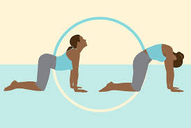 How To Stretch Your Lower Back Video And Steps Lower Back Muscles Lower Back Back Muscles