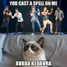 Cast A Spell On Them Meme Funny Grumpy Cat Memes Cat Memes Clean Grumpy Cat Humor