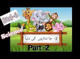 Class6 Science Chapter 2 The Living World Part 1 Maha Board Syllabus Youtube Science Syllabus Chapter