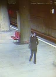 Omul mucește și el pe unde poate, stă pe unde poate. Crima De La Metrou Magdalena È™erban A Spus De Ce A Impins O Pe TanÄƒra De La Dristor In FaÈ›a Metroului