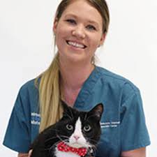 Melbourne Veterinary Specialist Centre