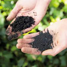 Biochar is a resource which can allow you to add fertility to the soil and improve its structure and water retaining capacity. Five Reasons To Use Biochar In Your Garden Storey Publishing