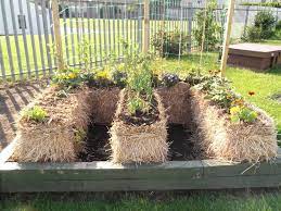 No Dig Vegetable Gardening Blog No Dig Vegetable Gardening Methods For The Urban Gardener Raised Vegetable Garden Plans Garden Layout Vegetable Vegetable Garden Planning