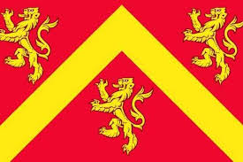 The flag of wales (y ddraig goch, meaning 'the red dragon') consists of a red dragon passant on a green and white field. Anglesey Flag Flies Closer To Official Recognition
