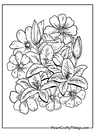 Pexels browse flower images and spring themed pics. New Beautiful Flower Coloring Pages 100 Unique 2021