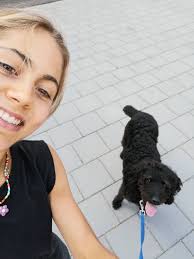 I have a friend whos recently had a knee replaced. Does anyone have a  wheelchair we could borrow for a few weeks? I walk his dog 1 a day but this  would