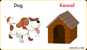 We've got furry friends on the smaller side like hamsters and ferrets and farm and barnyard buddies like horses, pigs, and goats—to name just a few of the various critters in cuteness.com's animal kingdom! Animal And Their Homes With Pictures Download Pdf Ppt