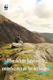 Zitat Zum Sonntag Lebensweisheiten Zitate Spruche Zitate Spruche