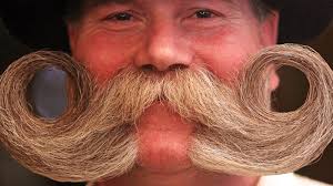 Why Can Men Grow Facial Hair But Women Cannot In 2020 Growing Facial Hair Facial Hair Mens Facial Hair Styles