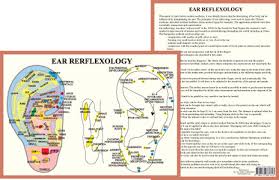 Ear Reflexology A4 Chart