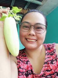 Plantules de F1 Saturo white Cucumber 🌱 # Highly resistant to diseases #  Highly productive # As from Rs 10/seedling # Distributed by AB Excellencia  Co.Ltd # 5506 3350 # 57523381