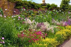 Flowers that grow back every year are called. 17 Flowering Perennials That Will Grow Anywhere Gardener S Path