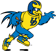 Do you need a mascot logo for a sports team or corporate event? Delaware Blue Hens Mascot Logo 1993 Youdee Playing Football University Of Delaware Delaware Blue Hens Delaware