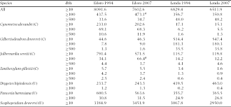 Image result for Julbernardia seretii