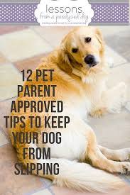 How To Prevent Dogs From Slipping By Creating Safe Zones Dog Training Dog Care Dog Training Methods