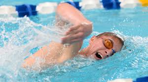 2014 LSJ boys swimming and diving preview