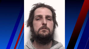 Man arrested, accused of kidnapping 15-year-old Kayla Carlson in Davidson  County