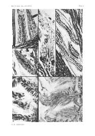 Image result for Tricalysia bagshawei