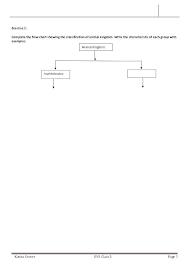 11 Scientific Flow Chart Of Vertebrates