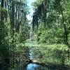 Fen synonyms, fen pronunciation, fen translation, english dictionary definition of fen. Https Encrypted Tbn0 Gstatic Com Images Q Tbn And9gcriohjpcwf5syge G4tiyfzx8868tgximxnivykot0kc61xogdi Usqp Cau