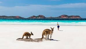 After refusing to bring back this beloved aussie chip, a rumour emerged online of its comeback. 10 Reasons Why Australia Is A Great Place To Live And Work Consultanz Recruitment