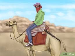 But when it comes to top speed horses win. How To Ride A Camel 12 Steps With Pictures Wikihow