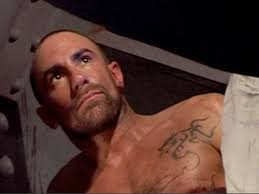 CUERPO DE PERRO FOLLADO Y EXPUESTO