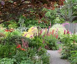 Maybe you would like to learn more about one of these? How This Bountiful Garden Has Colourful Flowers Blooming All Year Round