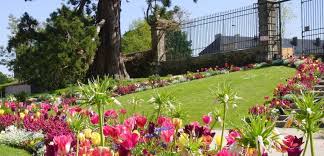 Les plantes aromatiques n'ont pas fini de vous surprendre ! Fete Du Jardin Manche Le Jardin Des Plantes D Avranches En Fete