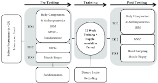 Flow Chart Describing The Experimental Design Pre And Post