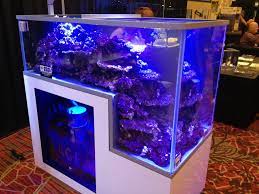 Seaquatic aquarium specializes in the design of custom acrylic aquariums 500 gallons and above. 250 Gallon Dropoff Aquarium Acrylic And Glass Exhibits Facebook