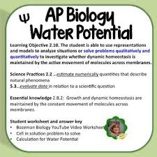Pin On Ap Biology