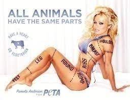 How can we stop the objectification of women? Petition People For The Ethical Treatment Of Animals Peta Stop Objectifying Women In Their Ads Change Org