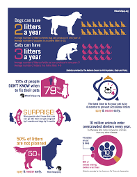 Do You Know About Our Spay Neuter Assistance Voucher Program Humane Society Of Knox County Dog Spay Cat Care Spay