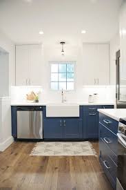 Blue Kitchen Paint Cabinet Design Decor It S Kitchen Cabinet Trends Blue Kitchen Cabinets Blue Kitchen Paint
